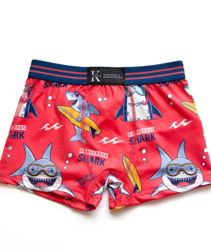 Boxer - Requin